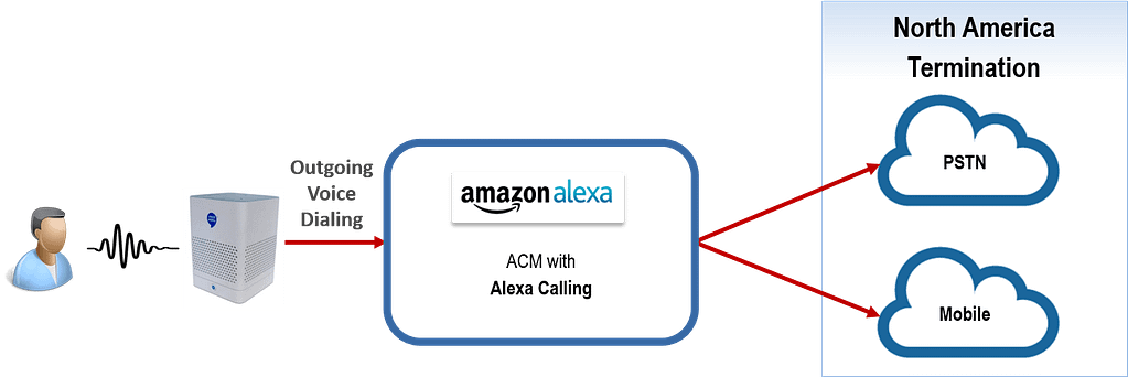 BT100 ACM with Alexa Calling
